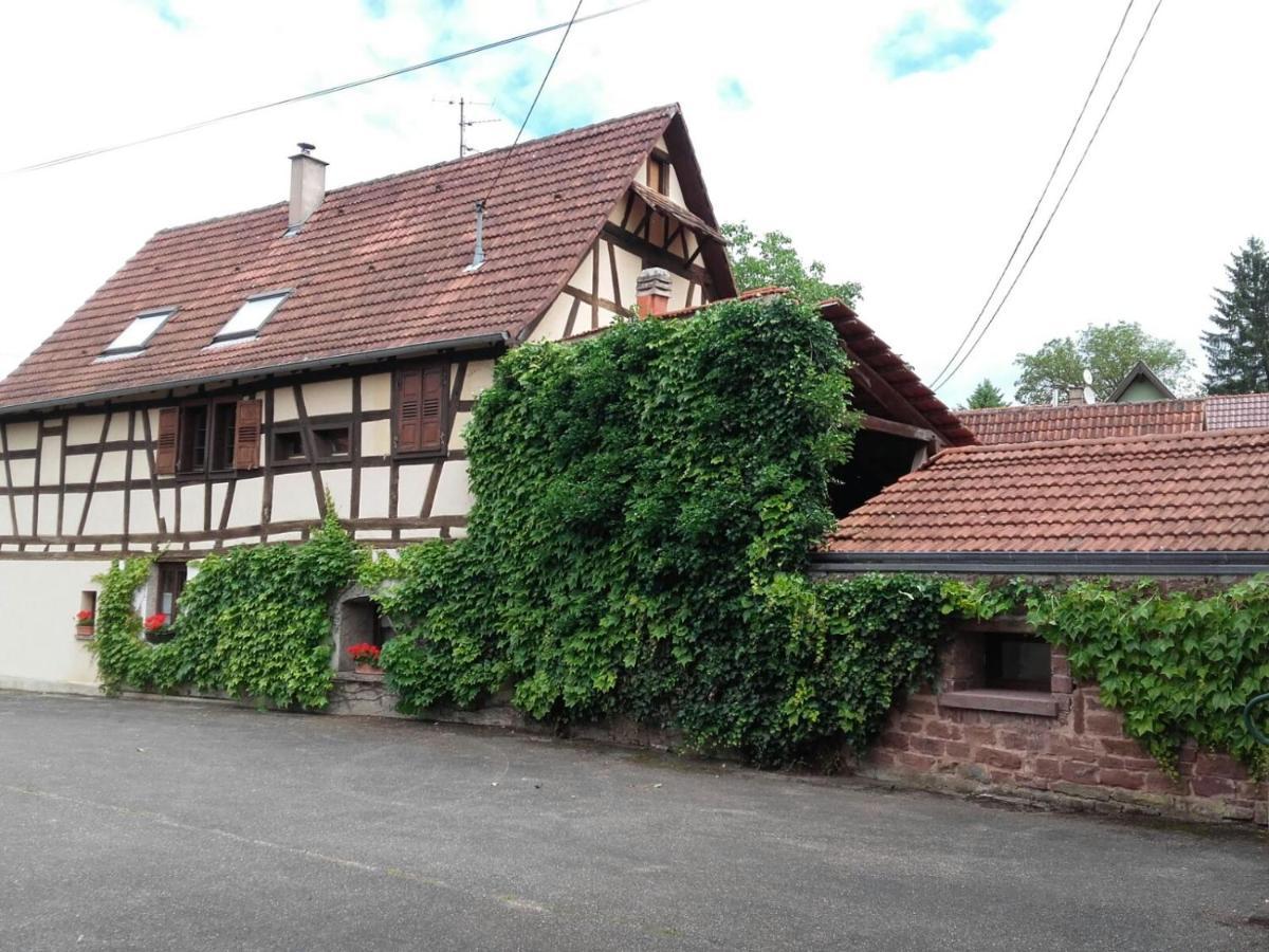 Gite Au Petit Ruisseau-Etage Et Combles-Maison Alsacienne 4 Personnes 4 Nuitees Minimum Langensoultzbach エクステリア 写真