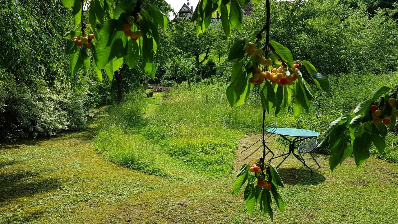 Gite Au Petit Ruisseau-Etage Et Combles-Maison Alsacienne 4 Personnes 4 Nuitees Minimum Langensoultzbach エクステリア 写真