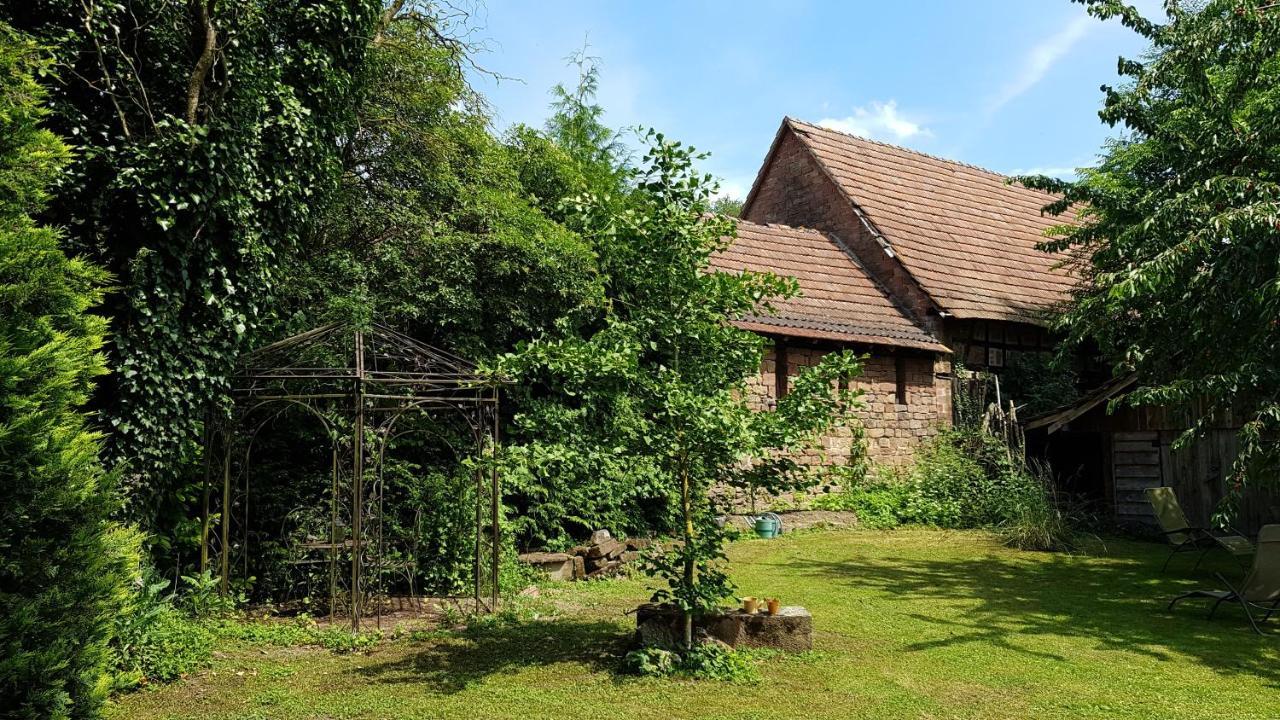 Gite Au Petit Ruisseau-Etage Et Combles-Maison Alsacienne 4 Personnes 4 Nuitees Minimum Langensoultzbach エクステリア 写真