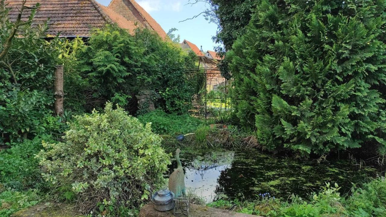 Gite Au Petit Ruisseau-Etage Et Combles-Maison Alsacienne 4 Personnes 4 Nuitees Minimum Langensoultzbach エクステリア 写真