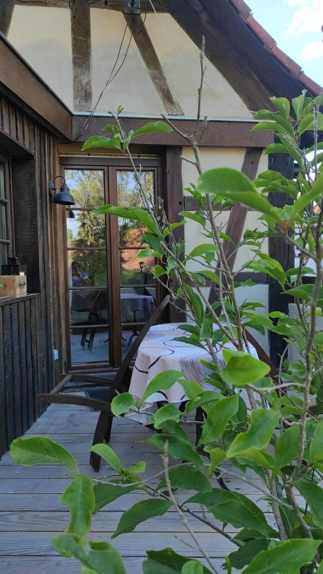 Gite Au Petit Ruisseau-Etage Et Combles-Maison Alsacienne 4 Personnes 4 Nuitees Minimum Langensoultzbach エクステリア 写真