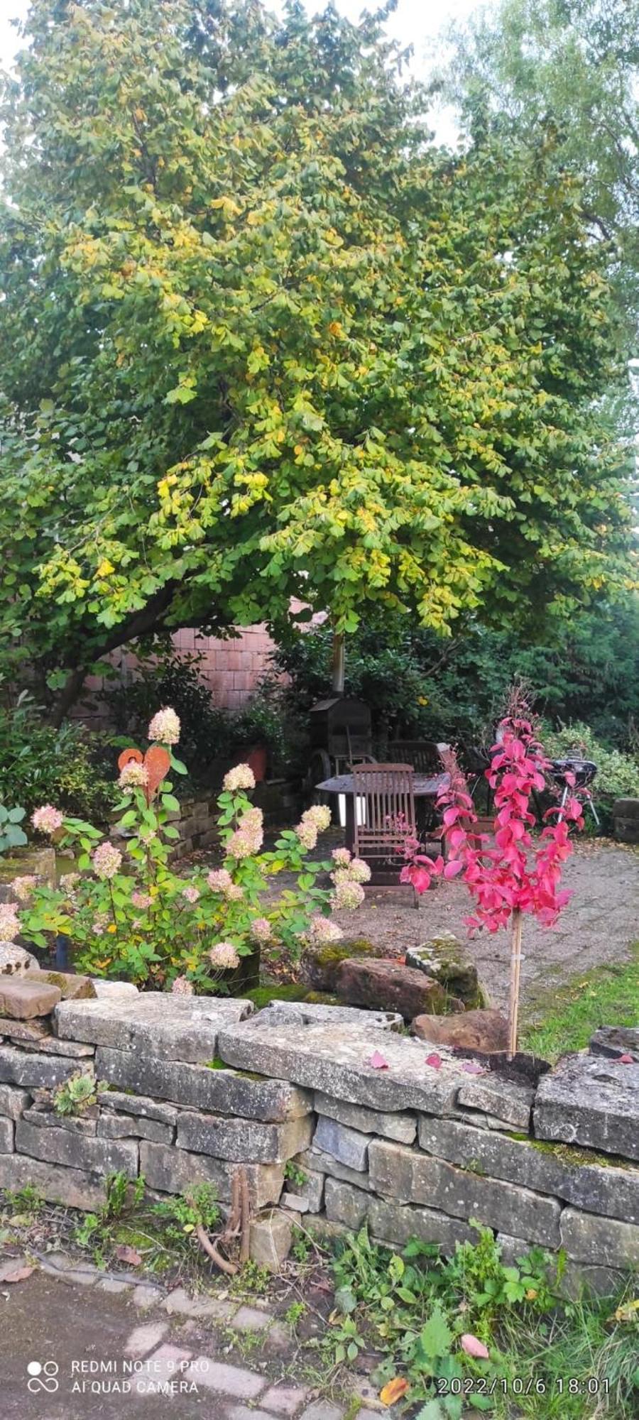 Gite Au Petit Ruisseau-Etage Et Combles-Maison Alsacienne 4 Personnes 4 Nuitees Minimum Langensoultzbach エクステリア 写真
